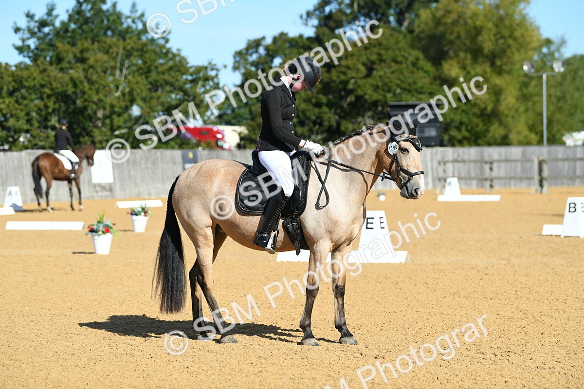 SBM_17895 - D4 - Small Tour Championship - Intro B