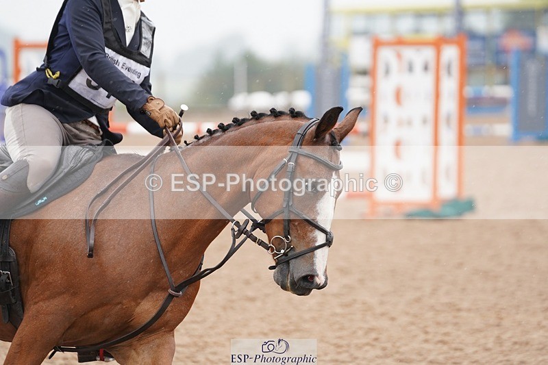 240901A-145938-10218 - 519-Lauren.Collard-DVS.ROCKY