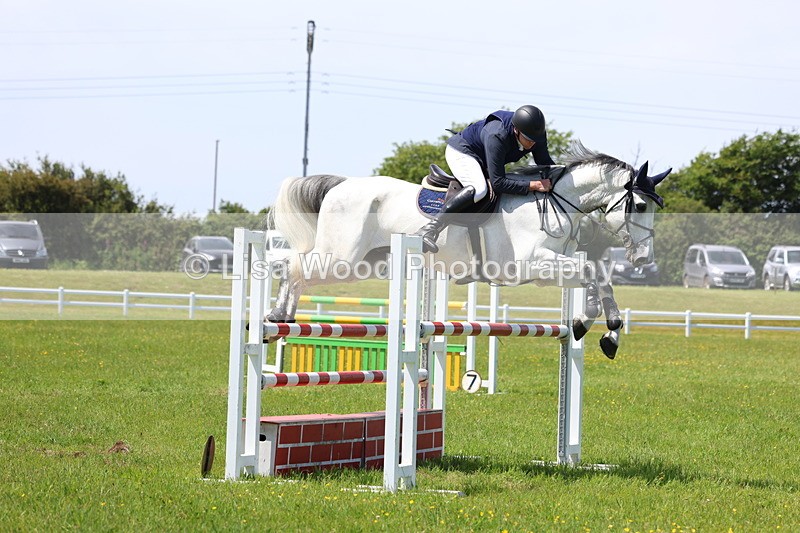 3E7A1278 - Class 12: Senior Foxhunter/1.20 open