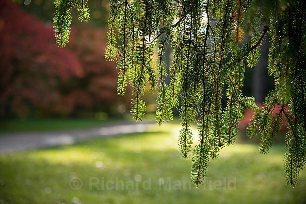  - Autumn