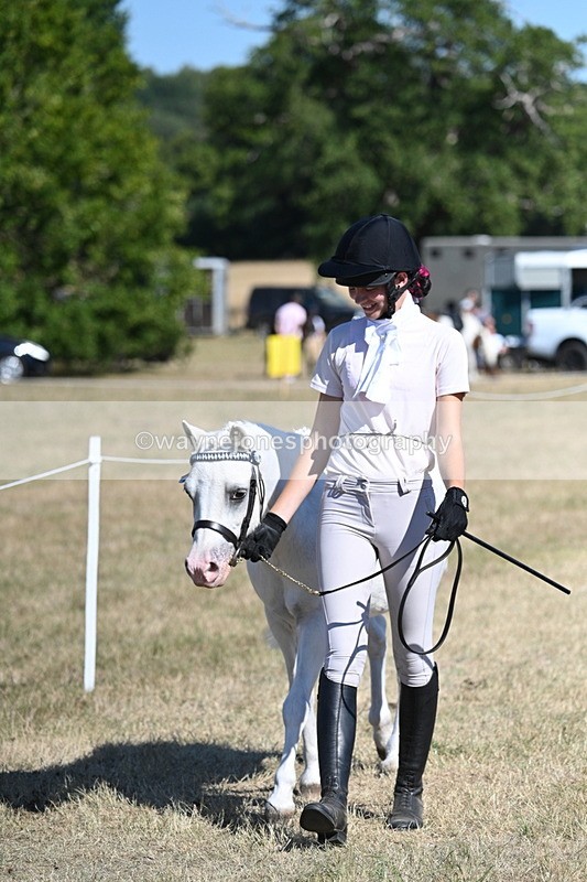 WJ7_1786 - Class 43 Best Six Legs (In hand)