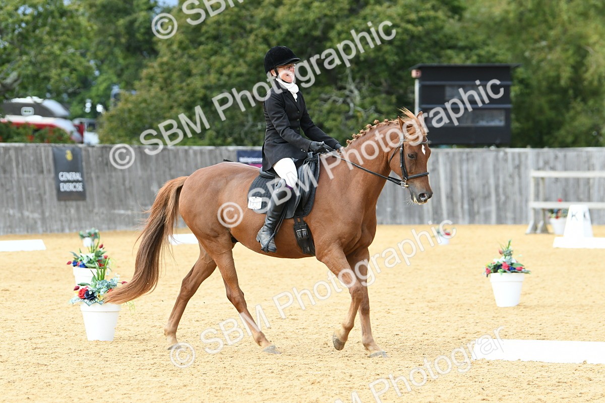 SBM_10973 - D28 Elementary Taster Elementary 42