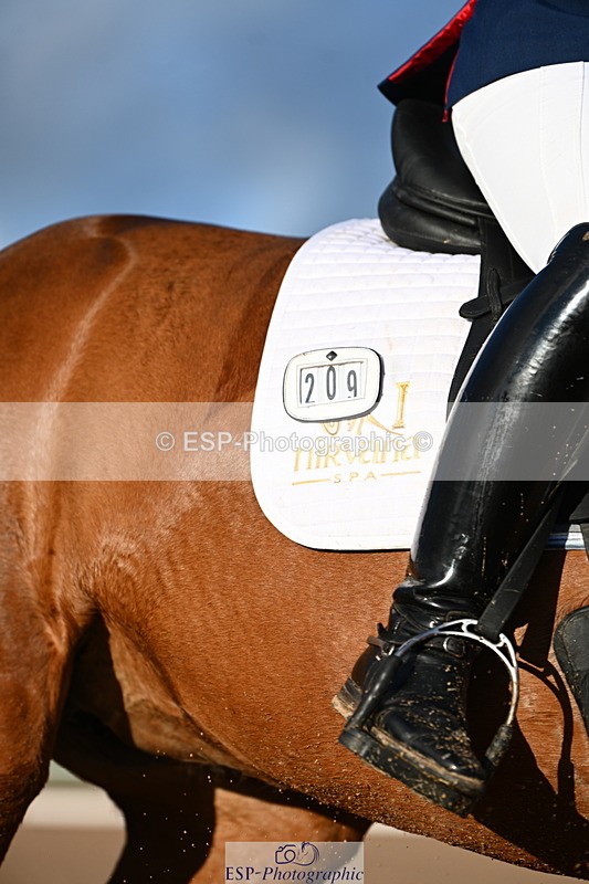 240218A-155700-09276 - 209-Charlotte.Dicker-Catherston.Tarantella