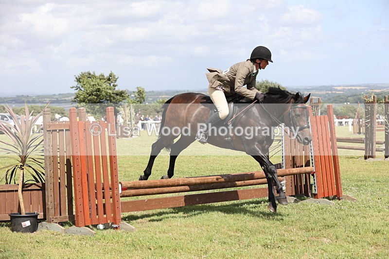 JPP_2171 - Class 19: Working Hunter 60cm