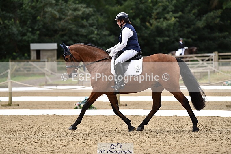 140110A-003800-10680 - 137-Debbie.Dyke-The.Trojan