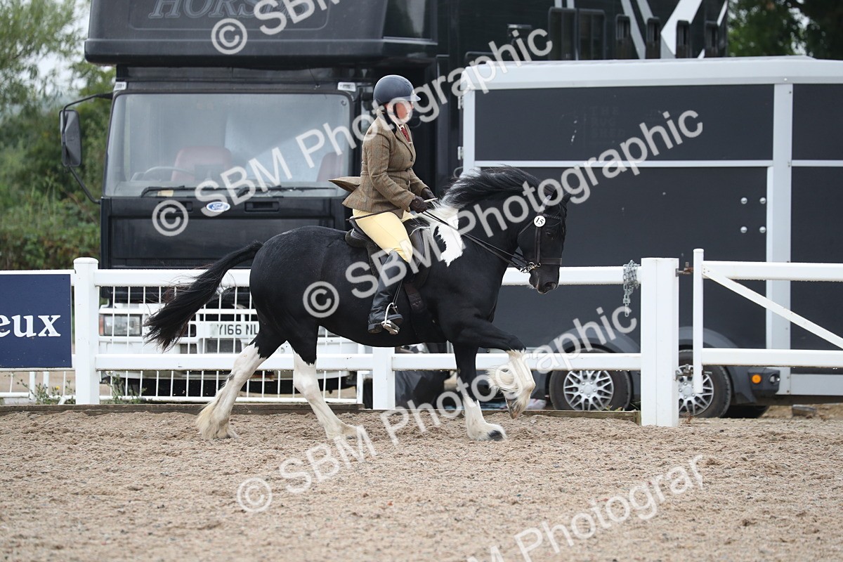 SBM_21954 - Class 603 - 2025 Area Ridden Pre Vet