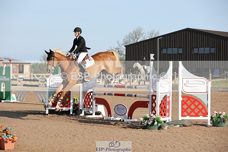 250427-083005-14491 - Cls 28 Young Horse 5yr old