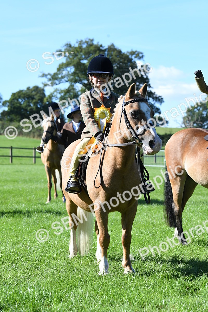 SBM_37051 - S18 - Novice & Newcomers Lead Rein Pony
