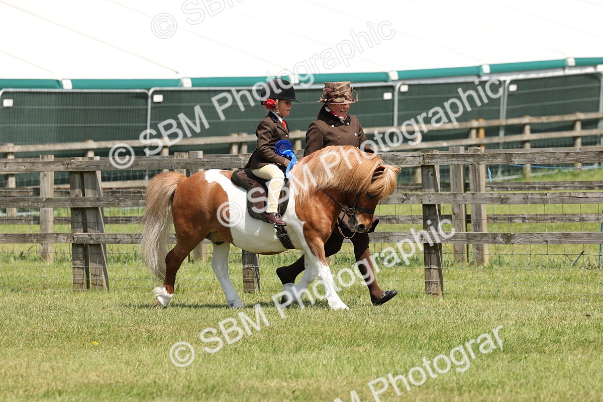 SBM_05399 - Class 24-25 - Mountain & Moorland In Hand Lead Rein and First Ridden