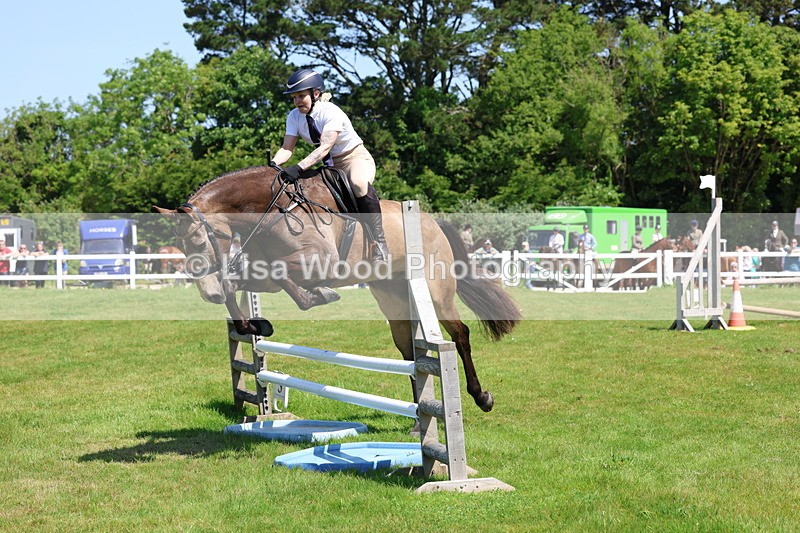 3E7A6933 - Class 30: Novice Working Hunter