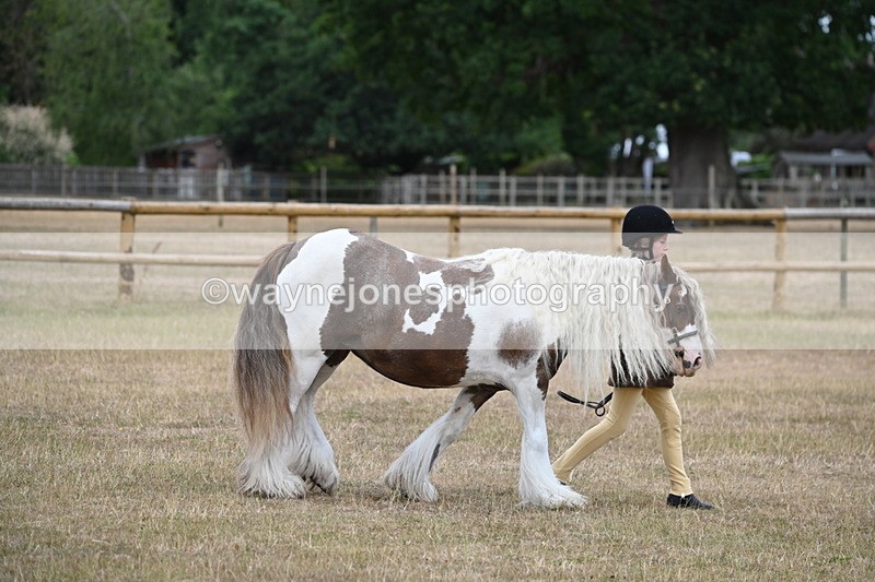 WJ6_7862 - Class 10 Coloured in Hand