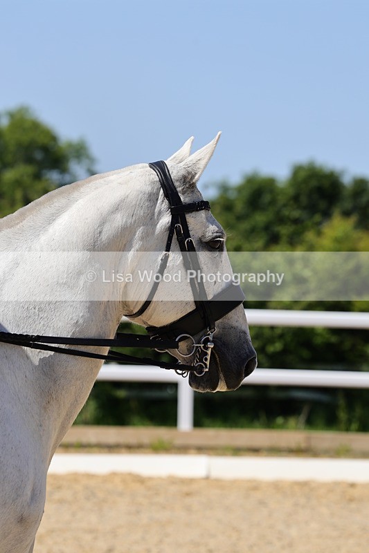 1X9A1763 - Class 11: Ridden Cob