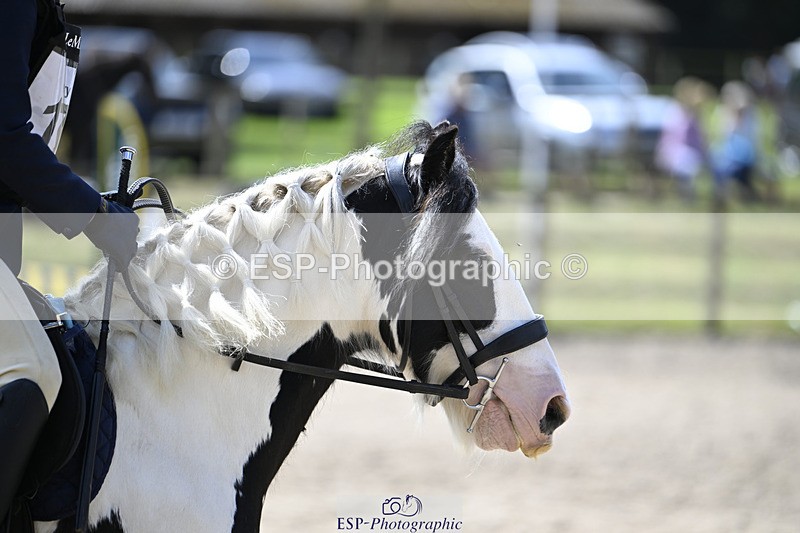 240823X-124744-17201 - 60cm R2 12.30 to 14.40 - All Photos