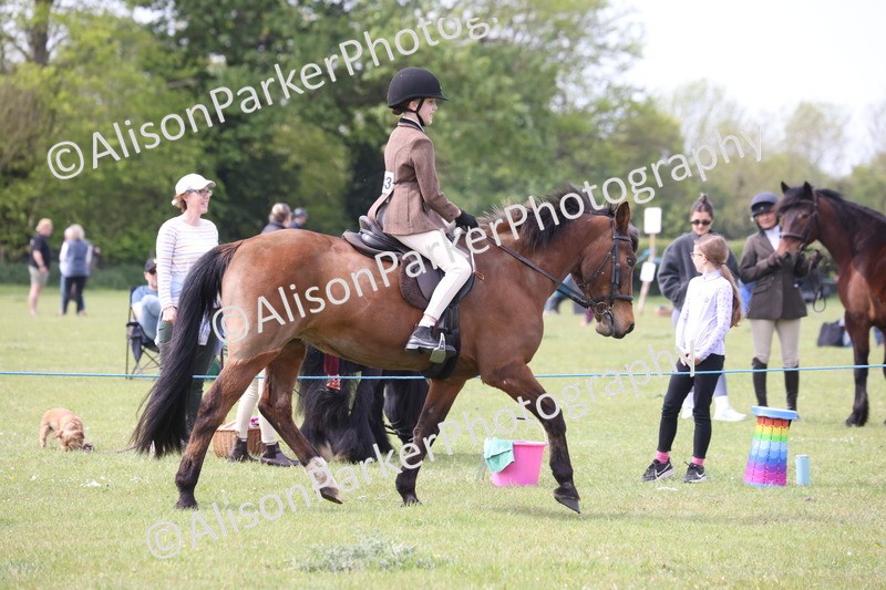 20260426-2933 - Class 33 - Best Pony 14.2hh and Under