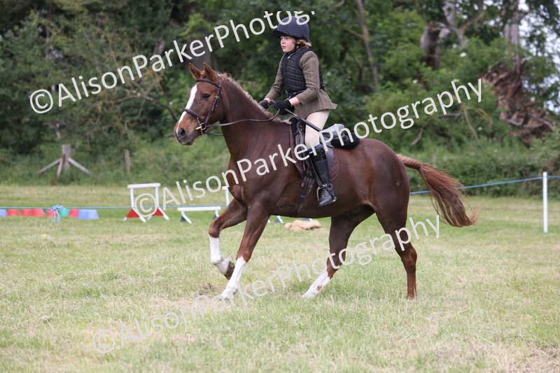 20260614-2739 - Class 22 - Open Working Hunter