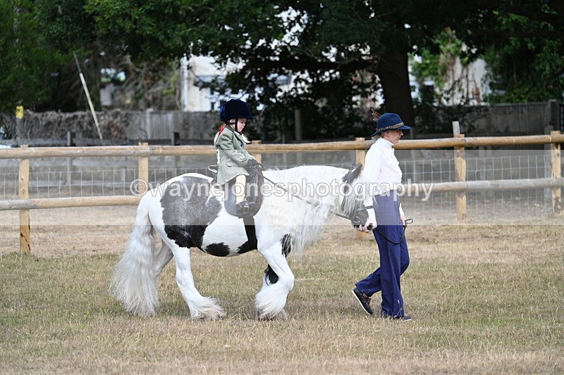 WJ7_6285 - Class 1 Lead Rein Pony