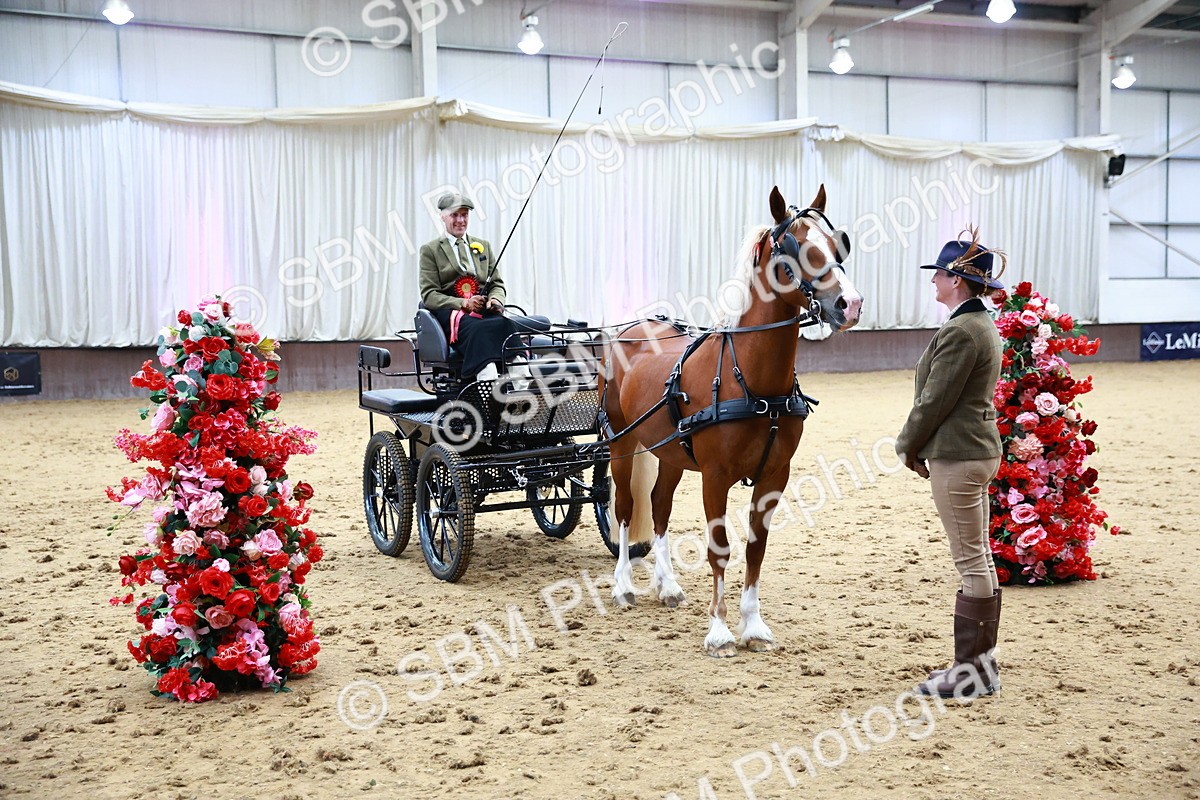 SBM_000682 - Class 11 - Peter Howell Memorial Gentlemen Whip