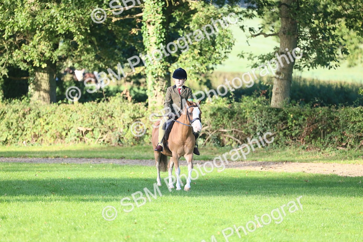 SBM_37211 - S29 - Novice & Newcomers Working Hunter Pony