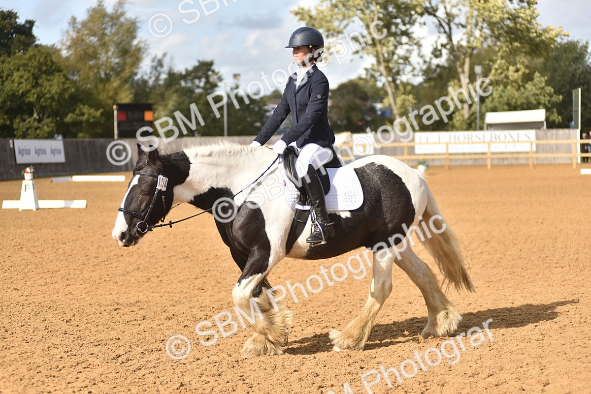SBM_48857 - D22 - Junior Championship Intro 3