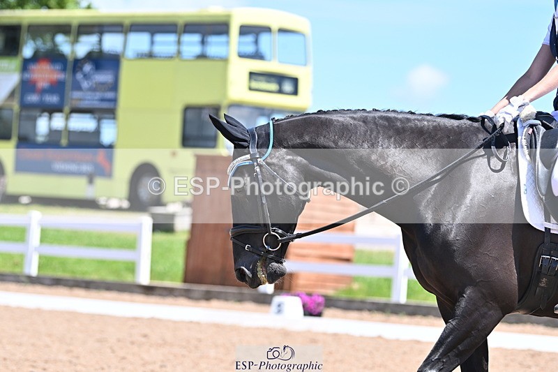 240621A-131035-03663 - Cls 8 BD Elementary 53