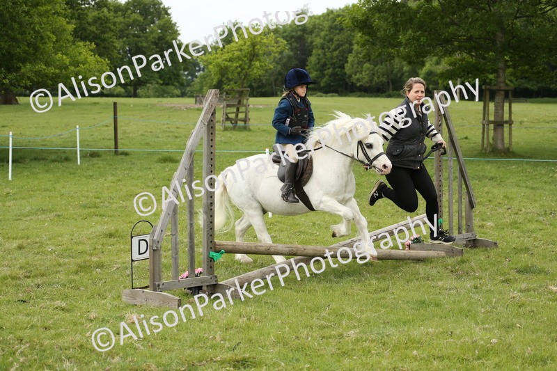 20250517-0593 - Class 20 - Beginners Working Hunter