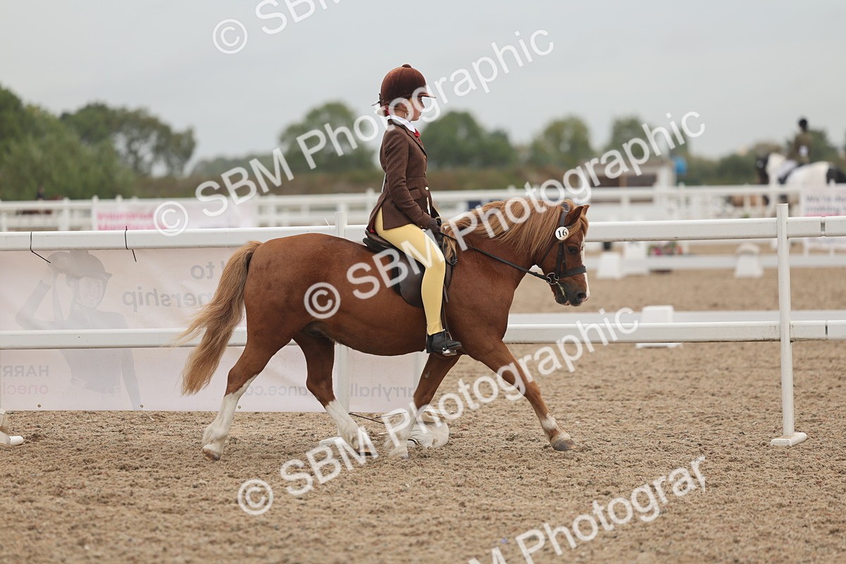 SBM_01851 - Class 14 - Ridden M&M Wildcard