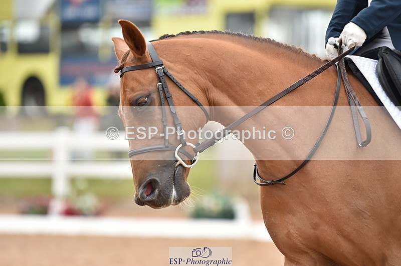 230630A-163950-03486 - Cls 4 Prelim 18