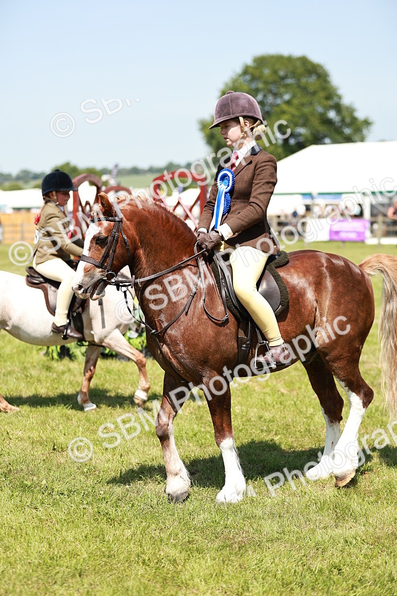 SBM_15811 - Class 108-109 - BSPS LIHS Open Gradle & Nursery Stakes