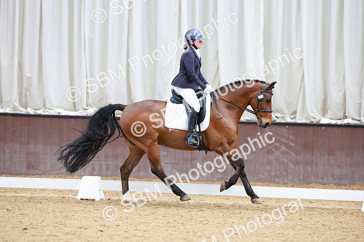 SBM_003448 - Class 15-16-18 - Novice 3-Elementary 1-PYO