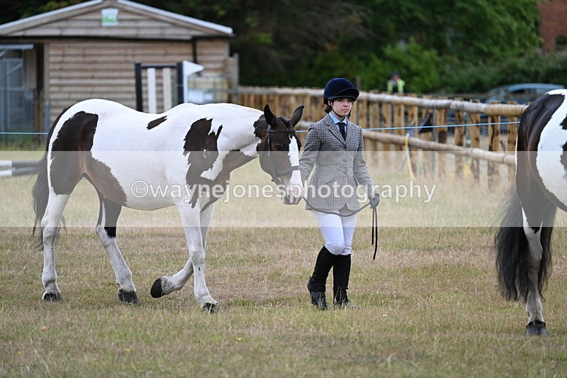 WJ7_9057 - Class 4a Prettiest Mare 14.2hh and over