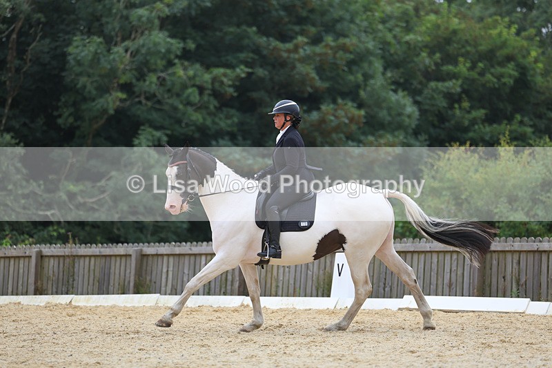 3E7A7080 - Class 7: Novice 4 2024 Section B