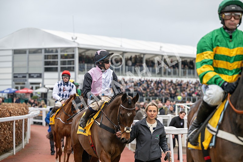 120326-Race 5-Heartwood-7773 - 12th March