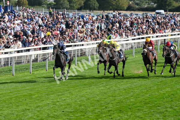 220825-Race 6-Frescobaldi-7733 - Race 6 4.45pm British Stallion Studs EBF Convivial Maiden Stakes