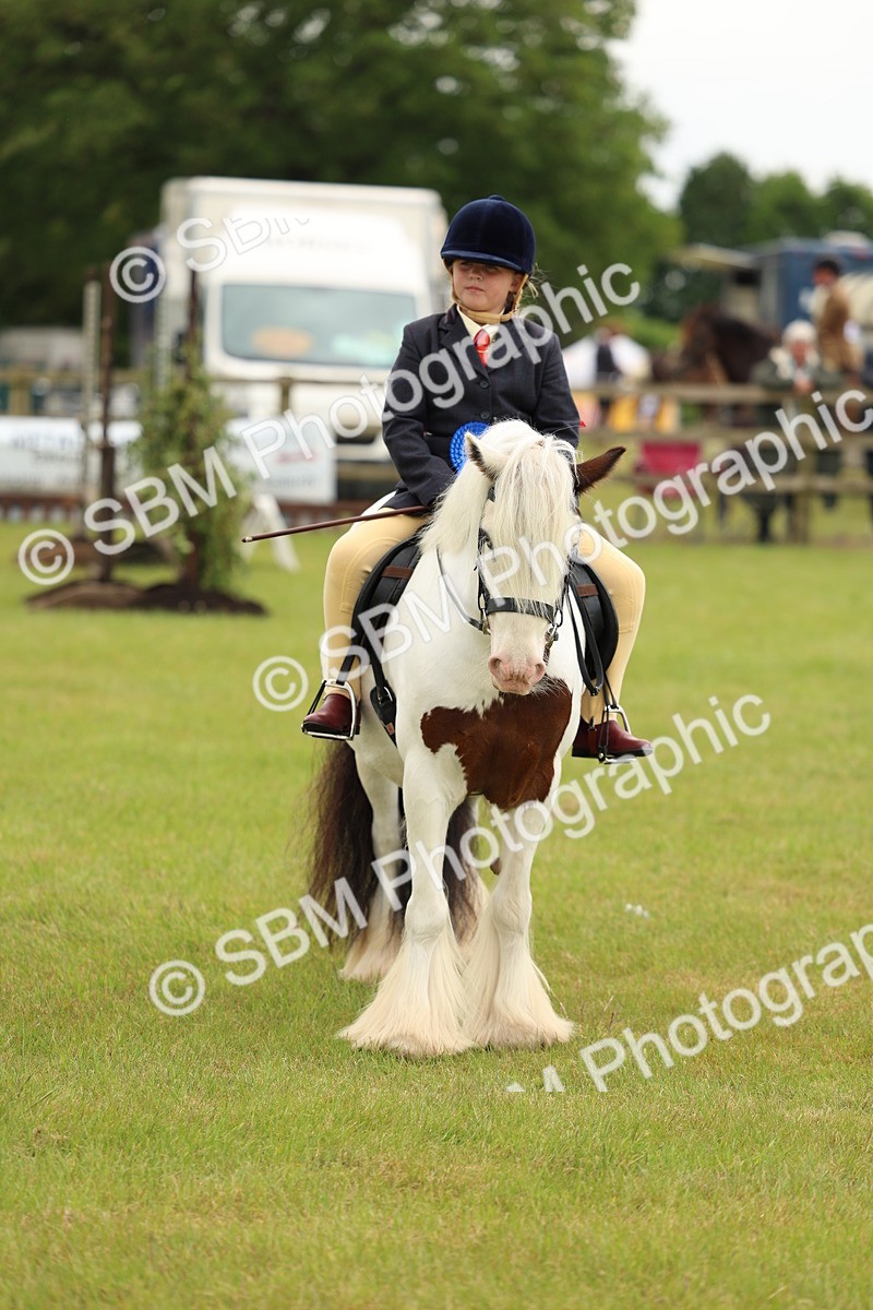 SBM_06291 - Class 39-41 TGCA In Hand and Ridden