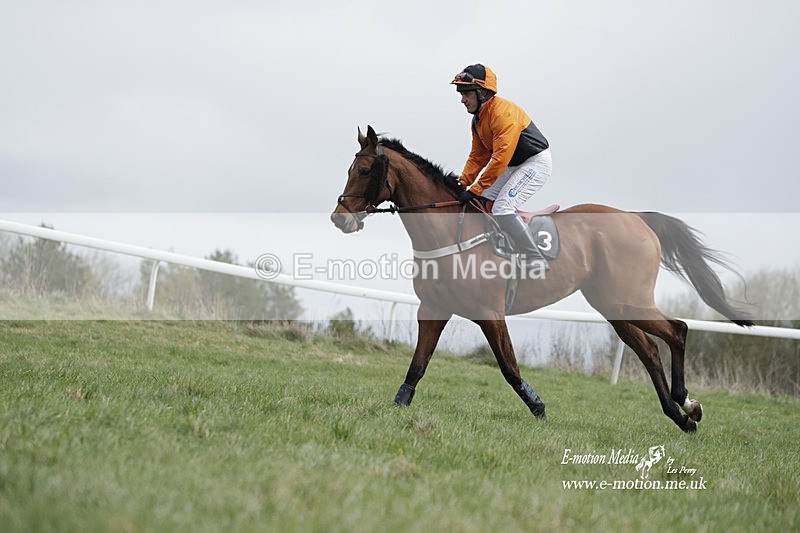 PtP 260323 0665 - New Forest Hounds Point-to-Point Larkhill 26/03/23