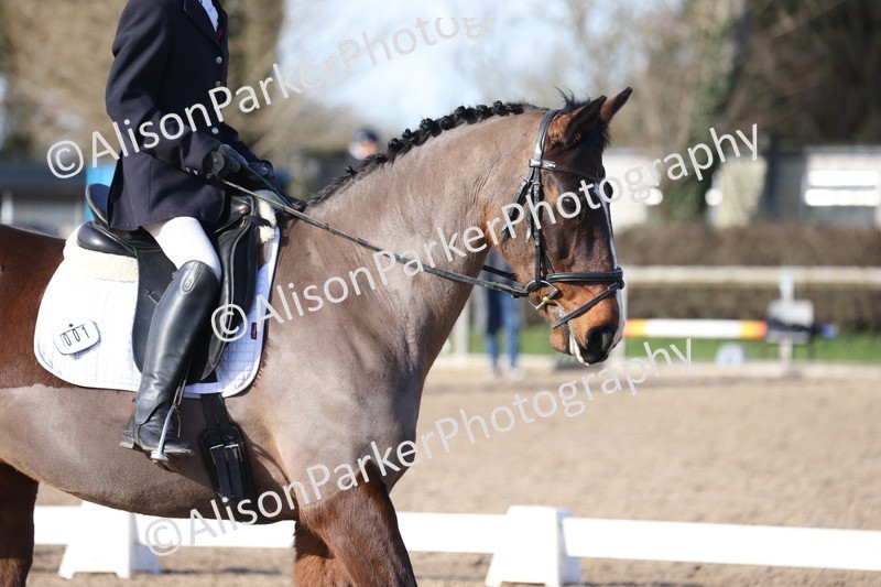 20260214-0541 - Class 5 - Novice 3