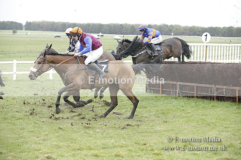 PtP 150320 0209 - New Forest Point-to-Point Larkhill 15/03/20