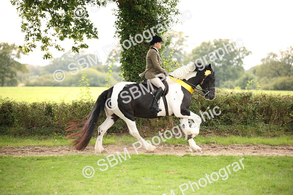 SBM_73637 - Ridden Horse Supreme Championship