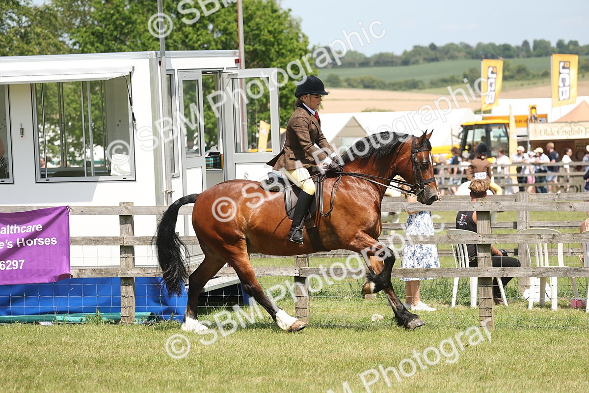SBM_06906 - Class 26-30 - Mountain and Moorland Ridden
