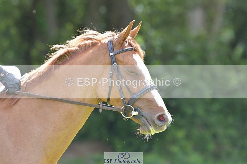 240704-095915-00849 - Cls 10 5 Yr Old Qualifier