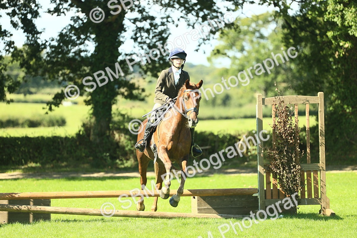 SBM_39159 - S29 - Novice & Newcomers Working Hunter Pony