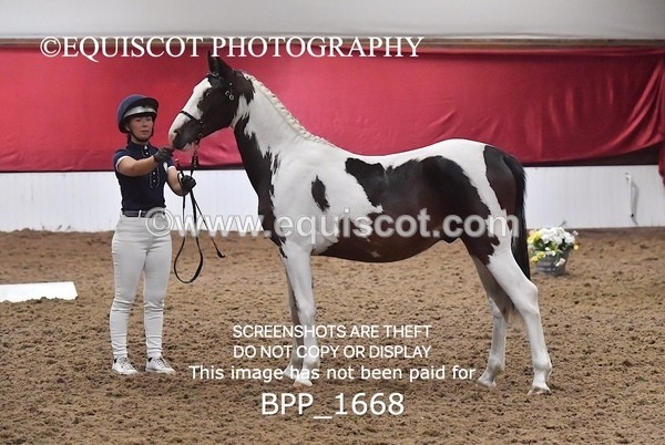 BPP_1668 - MORNING 9AM - 12PM