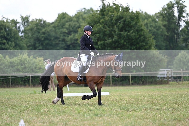 WJ7_5304 - Time 11:22 to 11:51