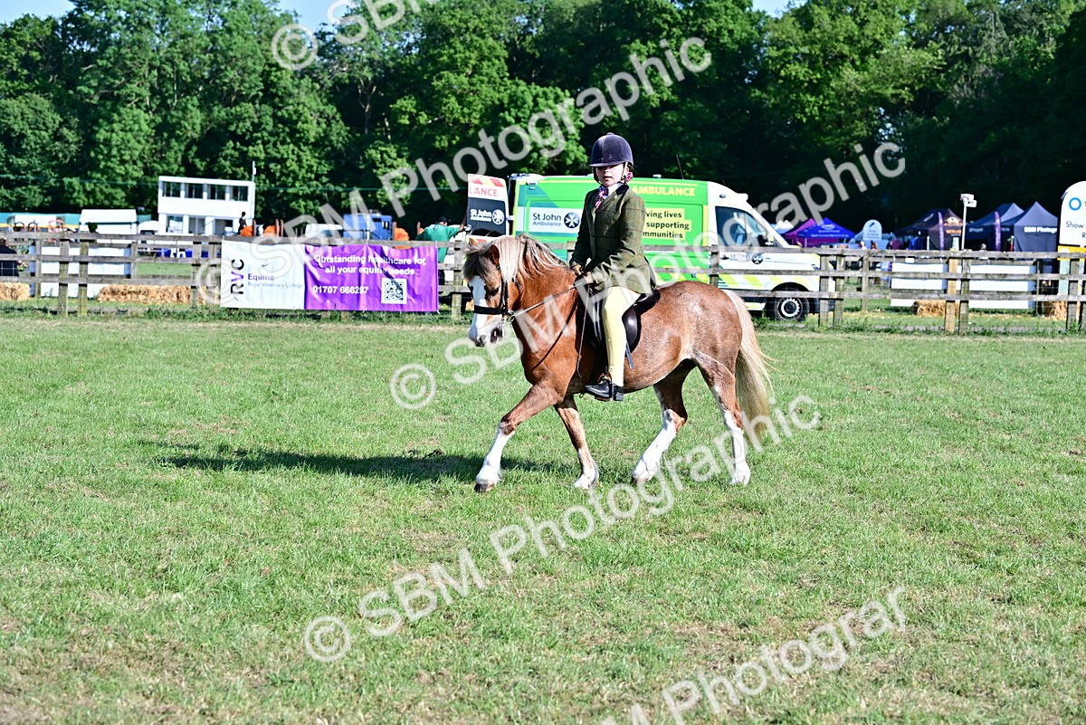 SBM_19849 - Class 103 - 105 - TSR Ridden Amateur of the Year Plaited Ponies