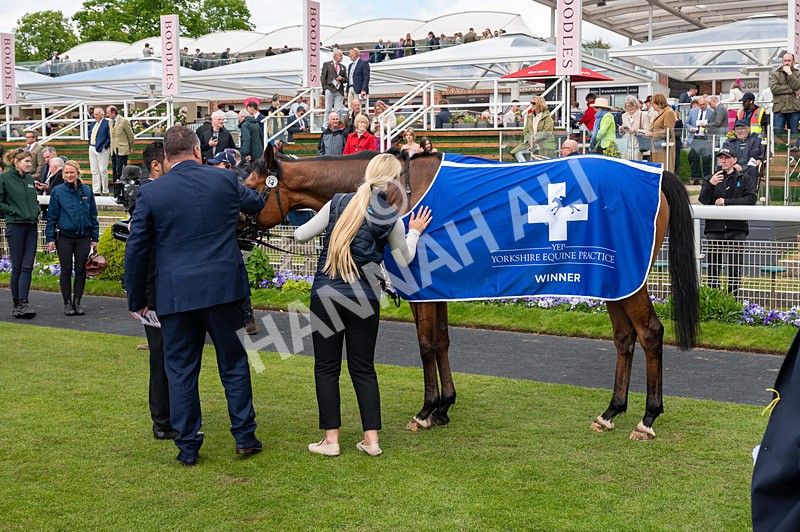 150526-Race 1-Zarathos-2319 - Race 1 1.45pm Yorkshire Equine Practice Handicap