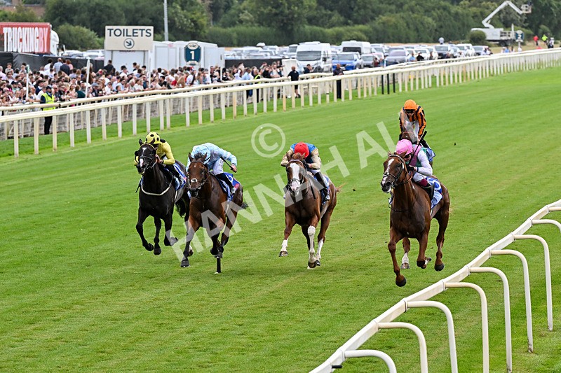 250726-Race 3-Item-0798 - Race 3 14.35pm Sky Bet York Stakes