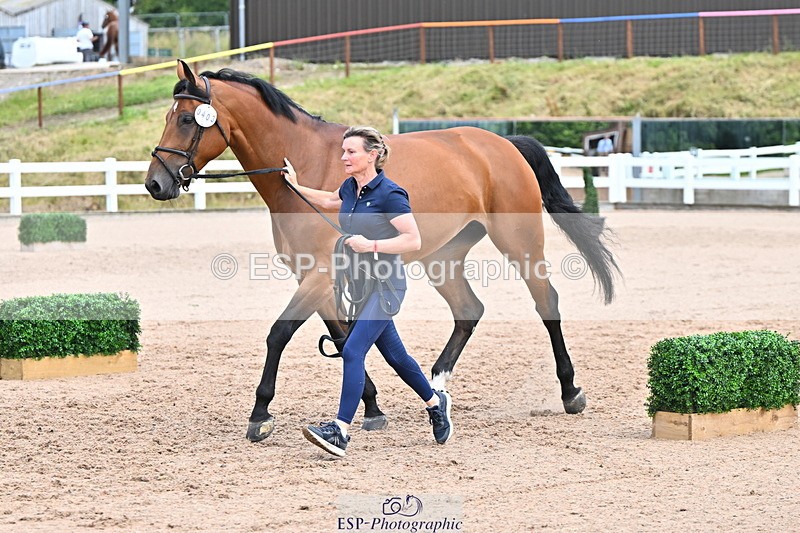 240718A-105322-01917 - Trot Up 2pm to 3pm - This folder is not in time order