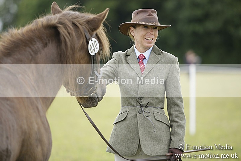 BVR160717-708 - Ring 2 BVRC Show 16/07/17