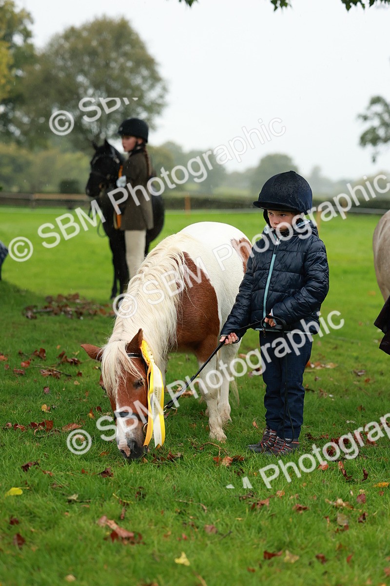 SBM_34935 - S10 - Best In Hand Horse & Pony
