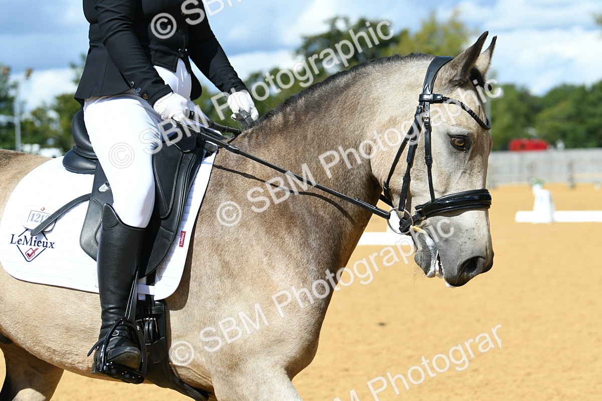 SBM_06503 - D15 Small Tour Championship Novice 24
